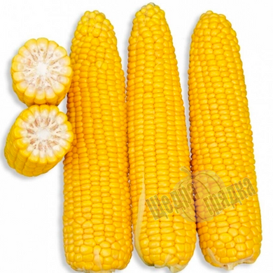 Семена кукурузы GSS 3071 F1 SG