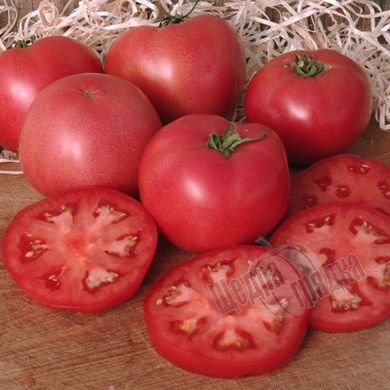 Насіння томату (помідора) Пінк Райз F1
