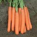 Семена моркови Байон F1