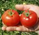 Насіння томату (помідора) Топспорт F1