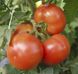 Насіння томату (помідора) Дон Хосе F1