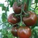 Насіння томату (помідора) Сашер F1