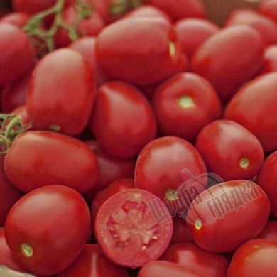 Семена томата (помидора) Пьетра Росса F1