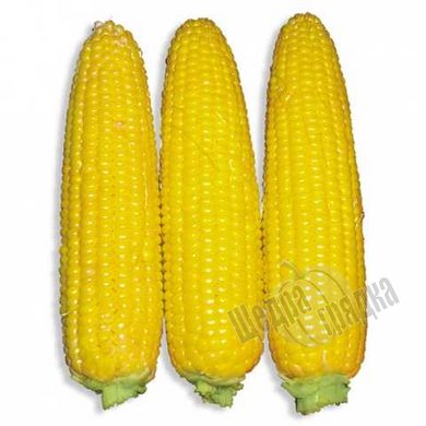 Семена кукурузы Добрыня F1, 20 шт