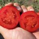 Насіння томату (помідора) П'єтра Росса F1