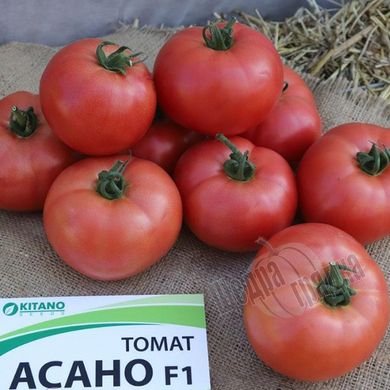 Насіння томату (помідора) Асано F1 (KS 38)