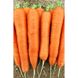 Семена моркови Майор F1