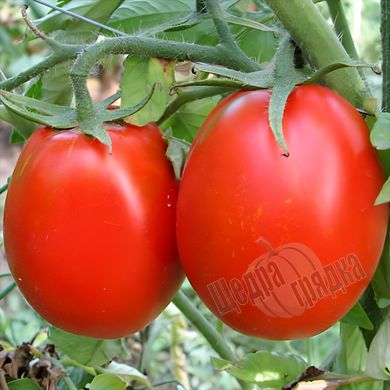 Насіння томату (помідора) Де Барао царське червоний, 0,1 г
