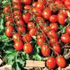 Насіння томату (помідора) Туті Фруті F1