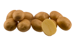 Семена картофеля Мадлен