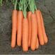 Семена моркови Нантес Тип-Топ