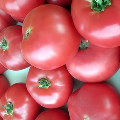 Насіння томату (помідора) Рожеві щічки, 0,1 г