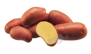 Семена картофеля Эсми