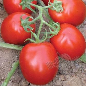 Насіння томату (помідора) Муна F1