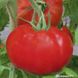 Насіння томату (помідора) Полонез F1