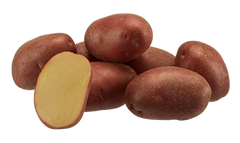 Насіння картоплі Еволюшн
