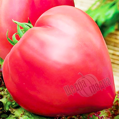 Насіння томату (помідора) Бичаче серце рожеве, 0,1 г