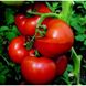 Семена томата (помидора) Аттия F1