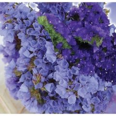 Семена цветов статицы Кампфс Блу (Небесная лазурь), 5 г, голубой