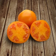 Насіння томату (помідора) Айсан (KS 18) F1, 10 шт
