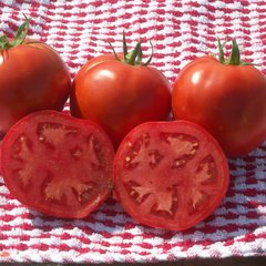 Семена томата (помидора) Лакота F1