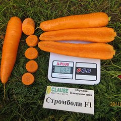Насіння моркви Стромболі F1, 100000 шт.