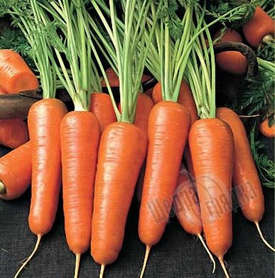 Семена моркови Абако F1