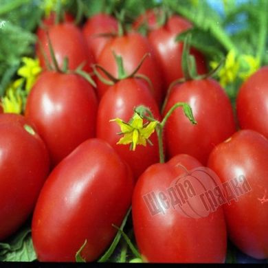 Насіння томату (помідора) Де Барао червоний