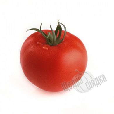 Семена томата (помидора) Берил F1