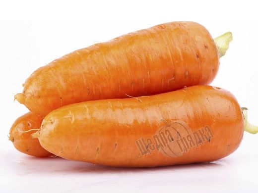 Насіння моркви Абако F1