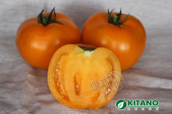 Семена томата (помидора) Айсан (KS 18) F1