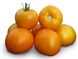 Насіння томату (помідора) Айсан (KS 18) F1, 10 шт