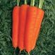 Насіння моркви Стромболі F1