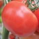 Семена томата (помидора) Оазис F1