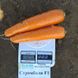 Насіння моркви Стромболі F1