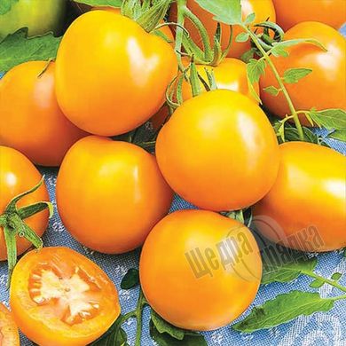 Насіння томату (помідора) Єлоу Рівер F1