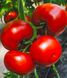 Семена томата (помидора) Кларабелла F1