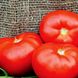 Насіння томату (помідора) Кларабелла F1