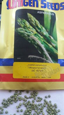 Семена спаржи (аспарагус) UC 157 F1