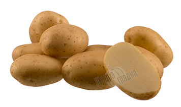 Семена картофеля Эроу
