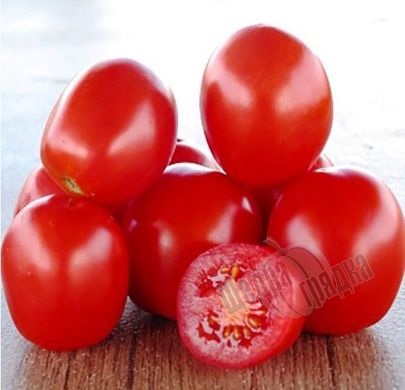 Насіння томату (помідора) Лампо F1