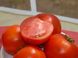 Семена томата (помидора) Бобкат F1