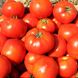 Насіння томату (помідора) Бобкат F1, 10 шт