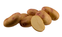 Насіння картоплі Пікассо