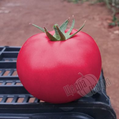 Насіння томату (помідора) Пінк Кристал F1