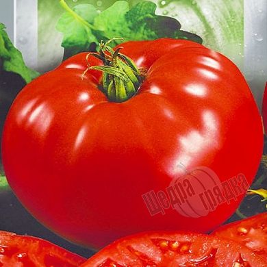 Насіння томату (помідора) Ведмежа лапа