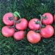 Насіння томату (помідора) Пінк Кристал F1