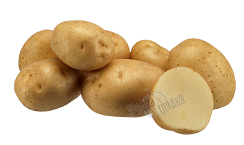 Насіння картоплі Воларе