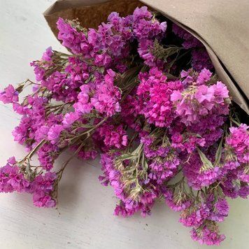 Семена цветов статицы Хипстер, 10 шт, розовый
