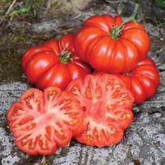 Насіння томату (помідора) Річіоло F1